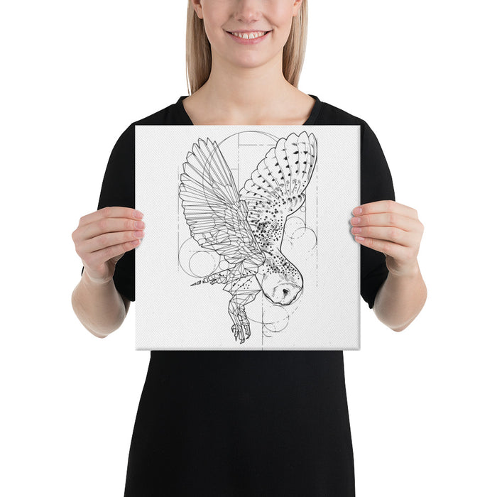 Owl Bronze Star Canvas