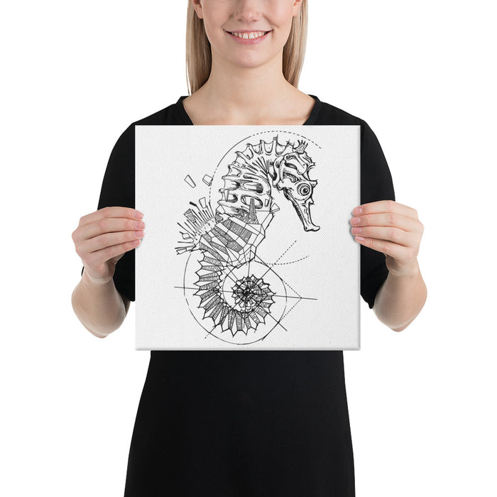 Seahorse Bronze Star Canvas