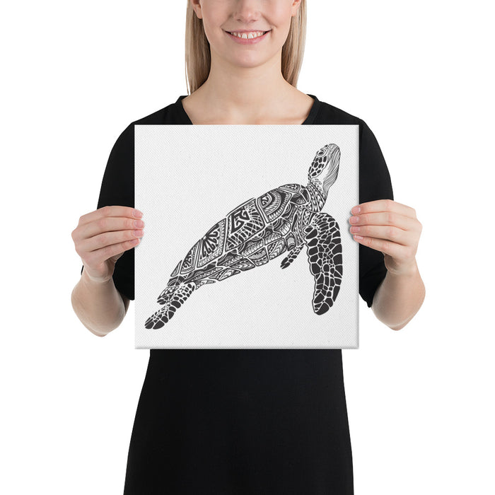 Turtle Bronze Star Canvas