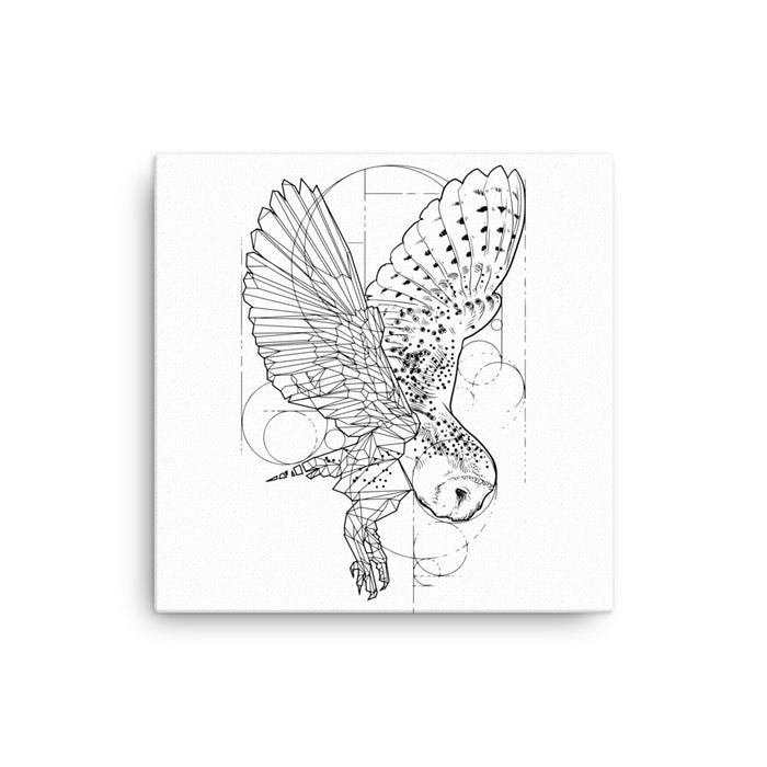Owl Bronze Star Canvas