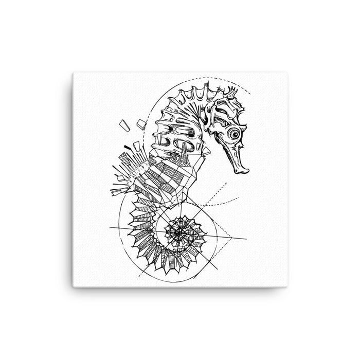 Seahorse Bronze Star Canvas