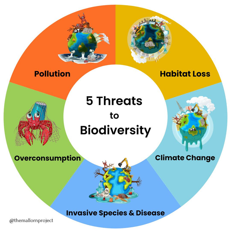 5 Threats to Biodiversity