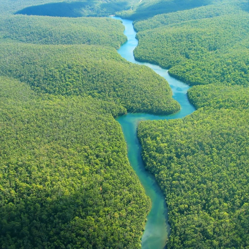 Natural Wonder: Amazon River