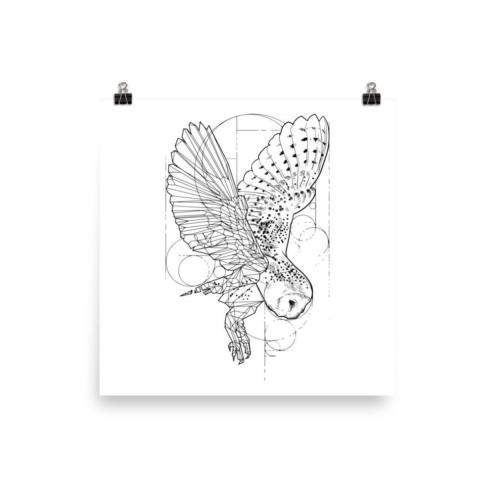 Owl Bronze Star Poster